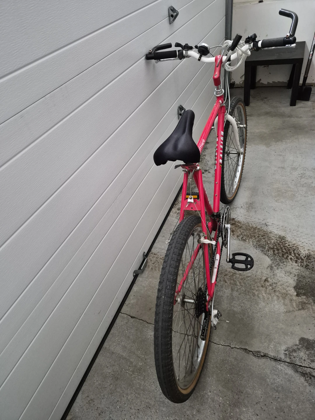 Raleigh Portage Mountain Bike