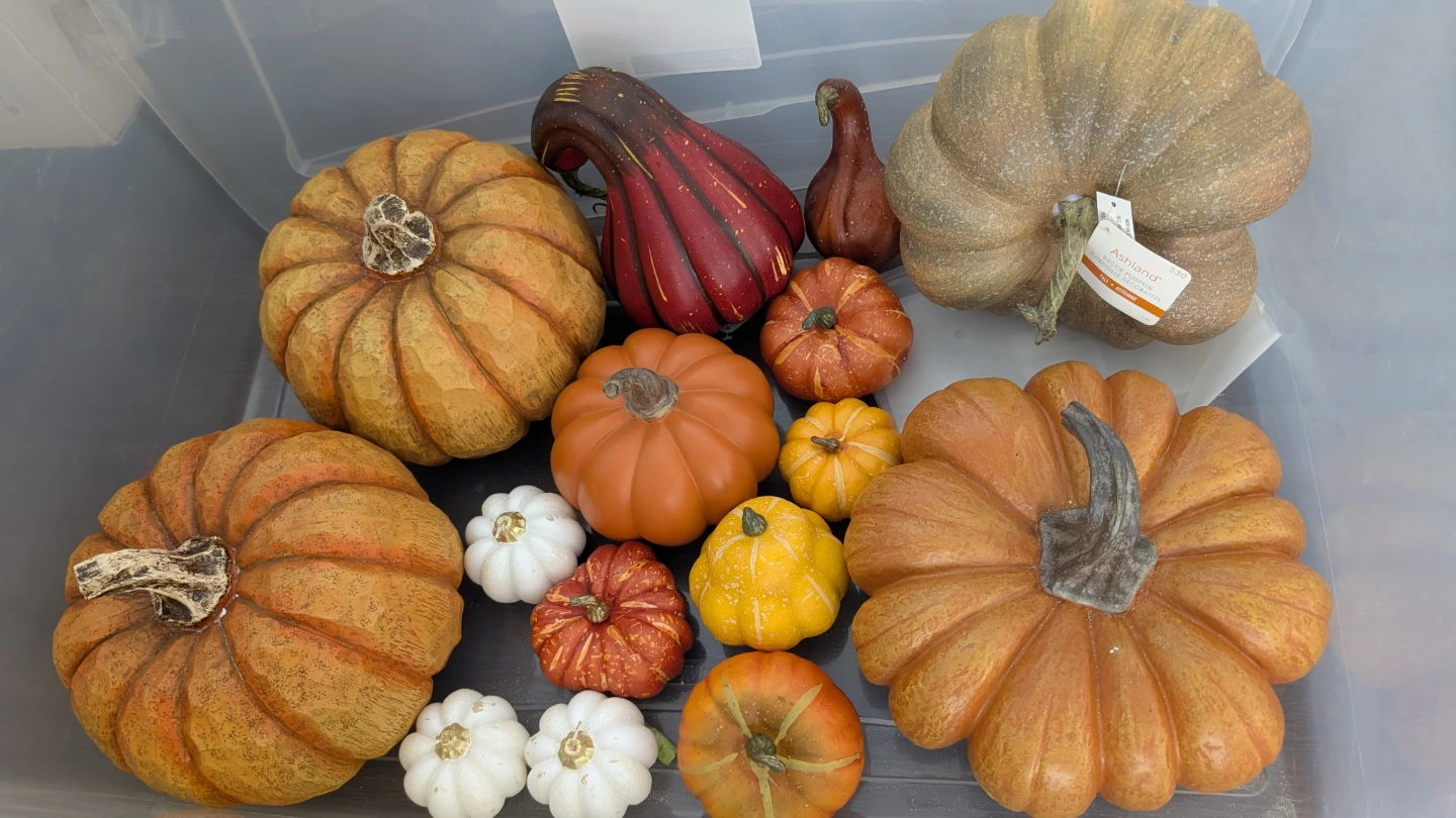 Assorted Decorative Pumpkins & Gift Boxes