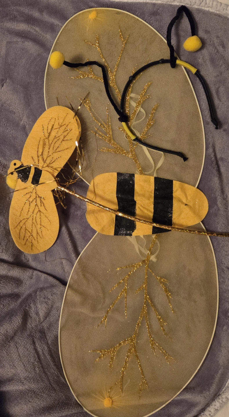 Bee costume wings and antennae set