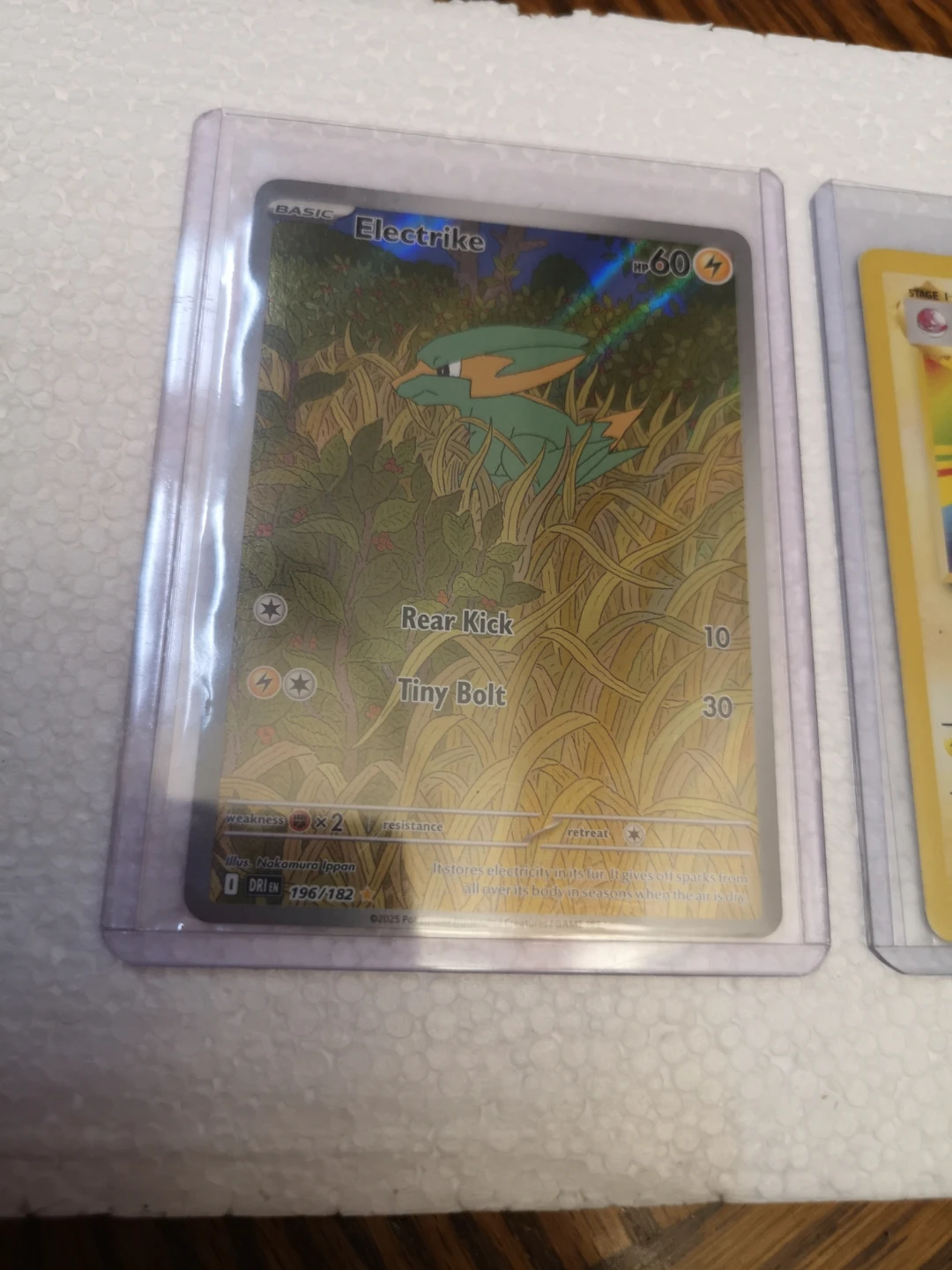 Pokemon Cards - Electrode & Electrike - photo 3