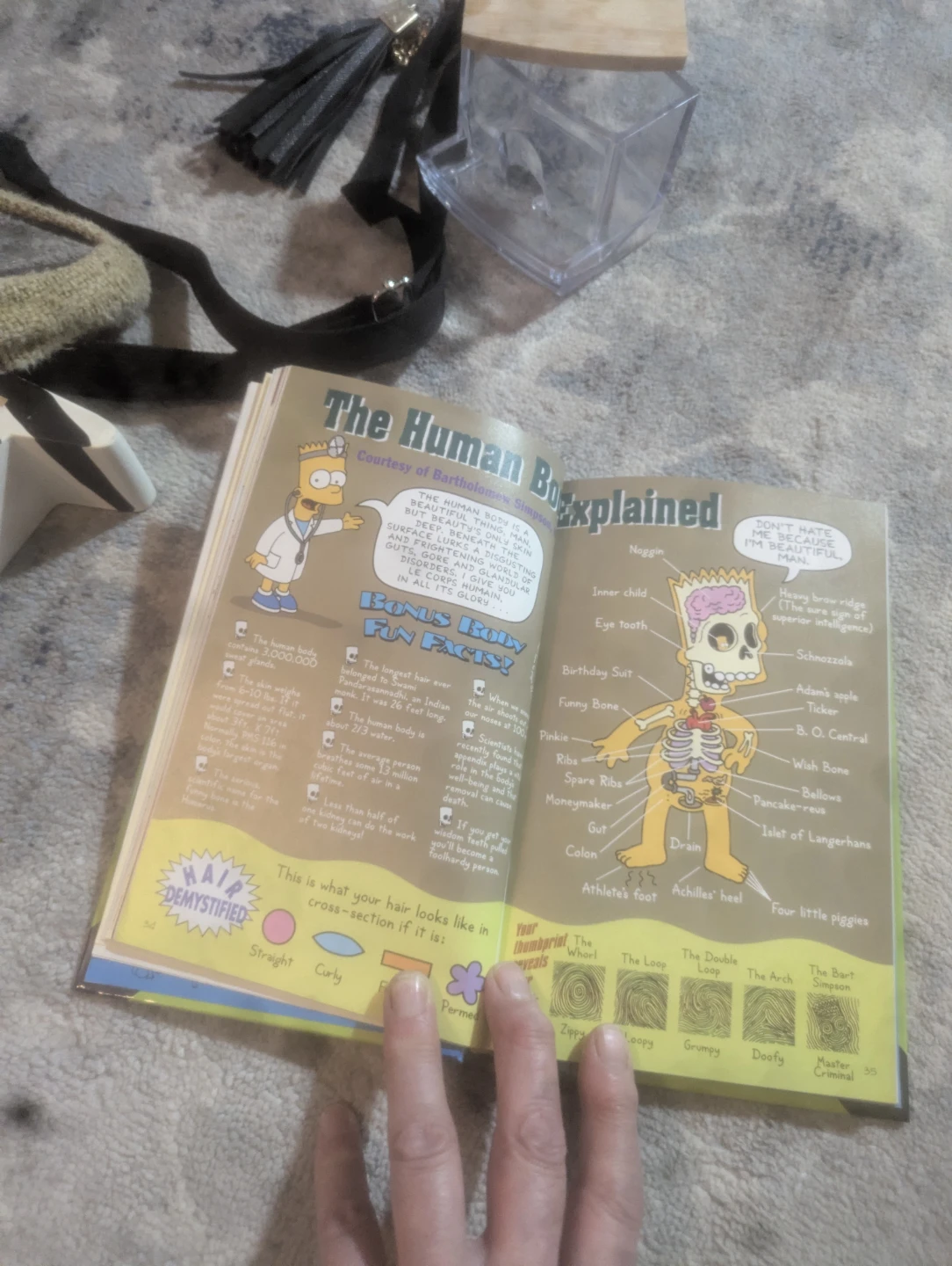 Bart Simpson's Guide to Life Book - photo 2