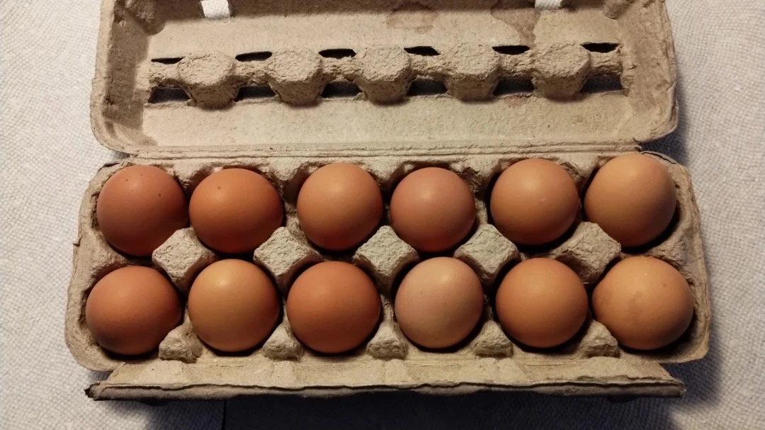 Farm Fresh Eggs