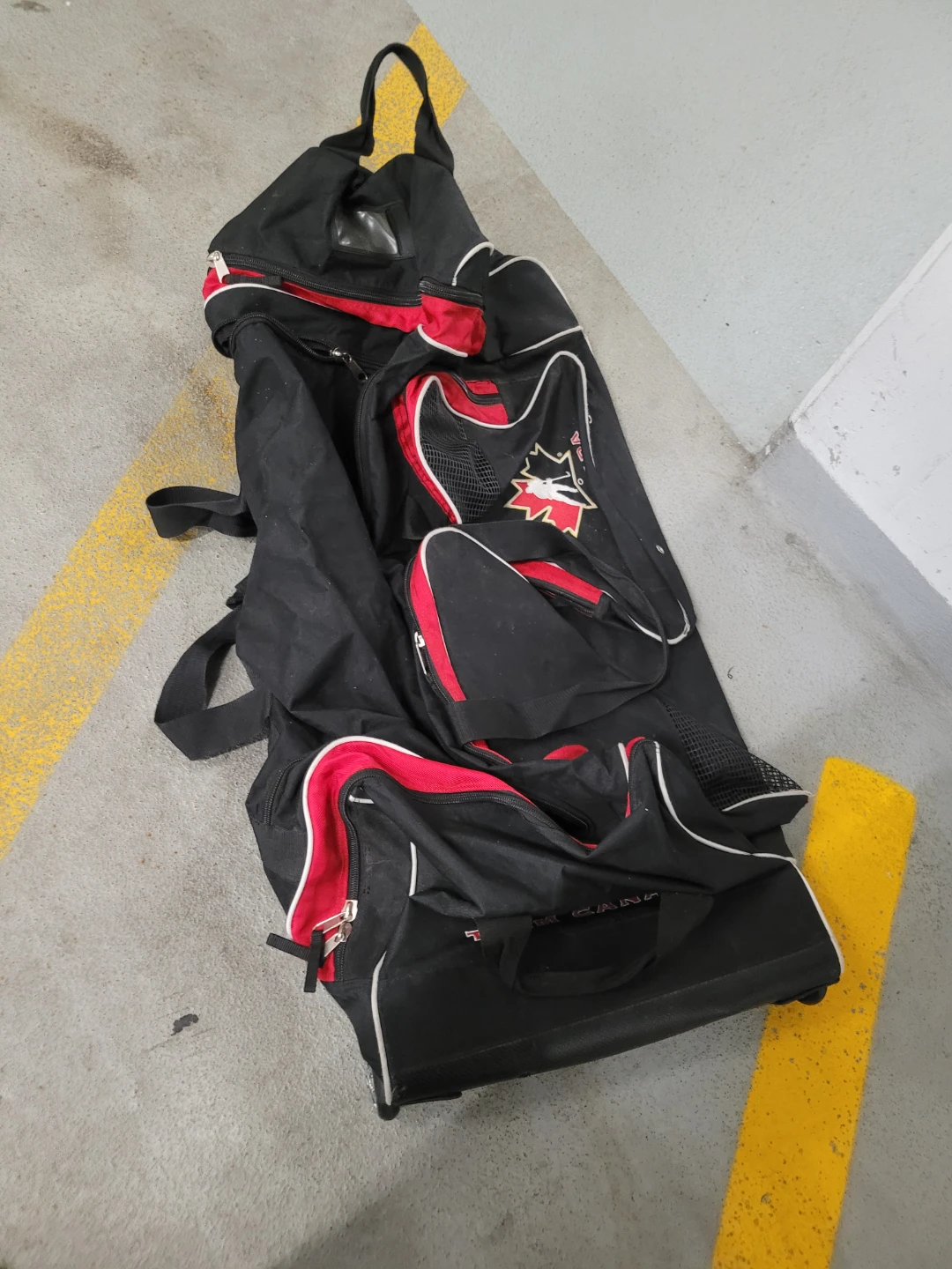 Black and Red Rolling Hocky/Golie Bag