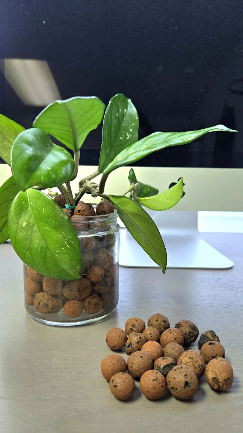 Hydroton LECA Clay Balls for Plants