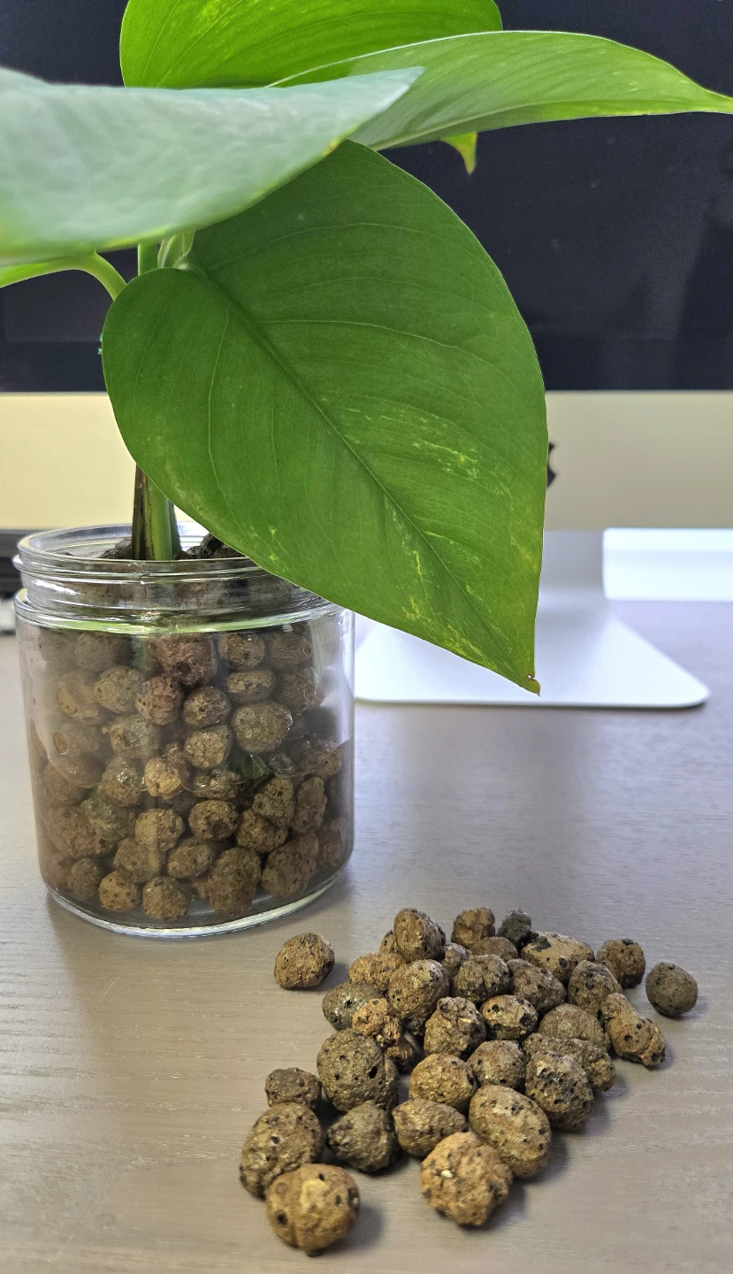 Hydroton LECA Clay Balls for Plants - photo 3