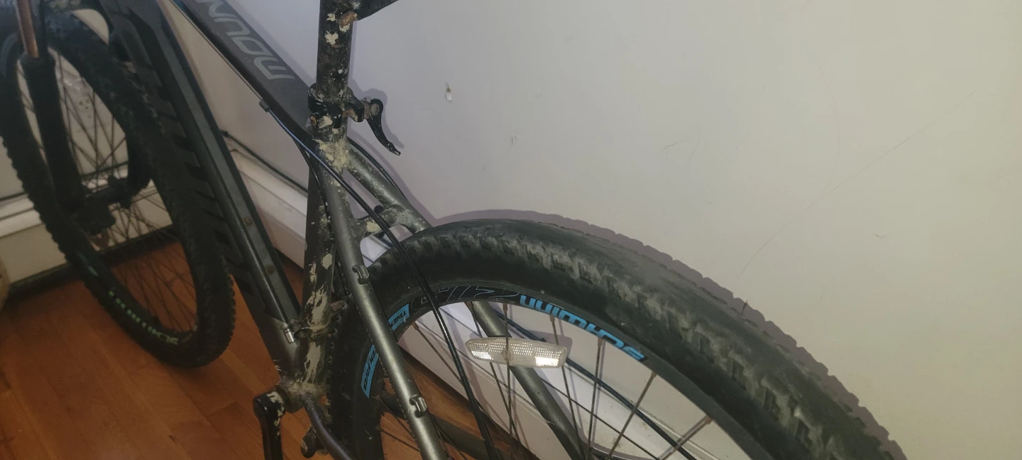 Schwinn Mountain Bike - photo 4