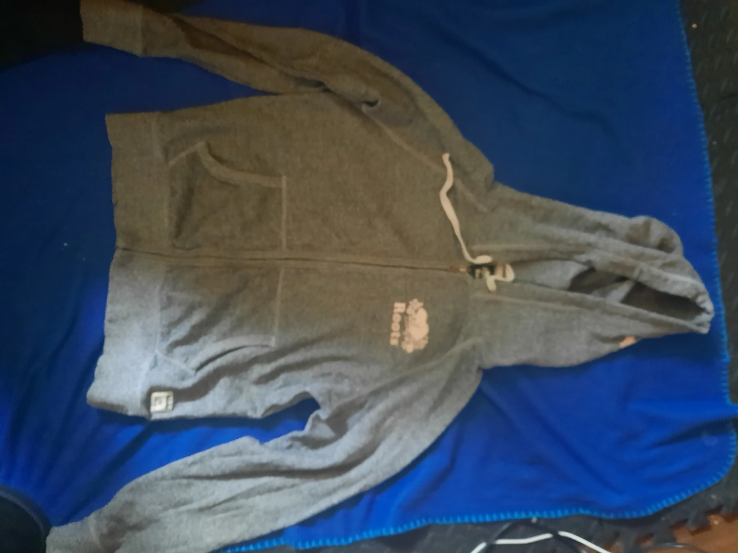 Roots Grey Full-Zip Hoodie "🏆" - photo 2