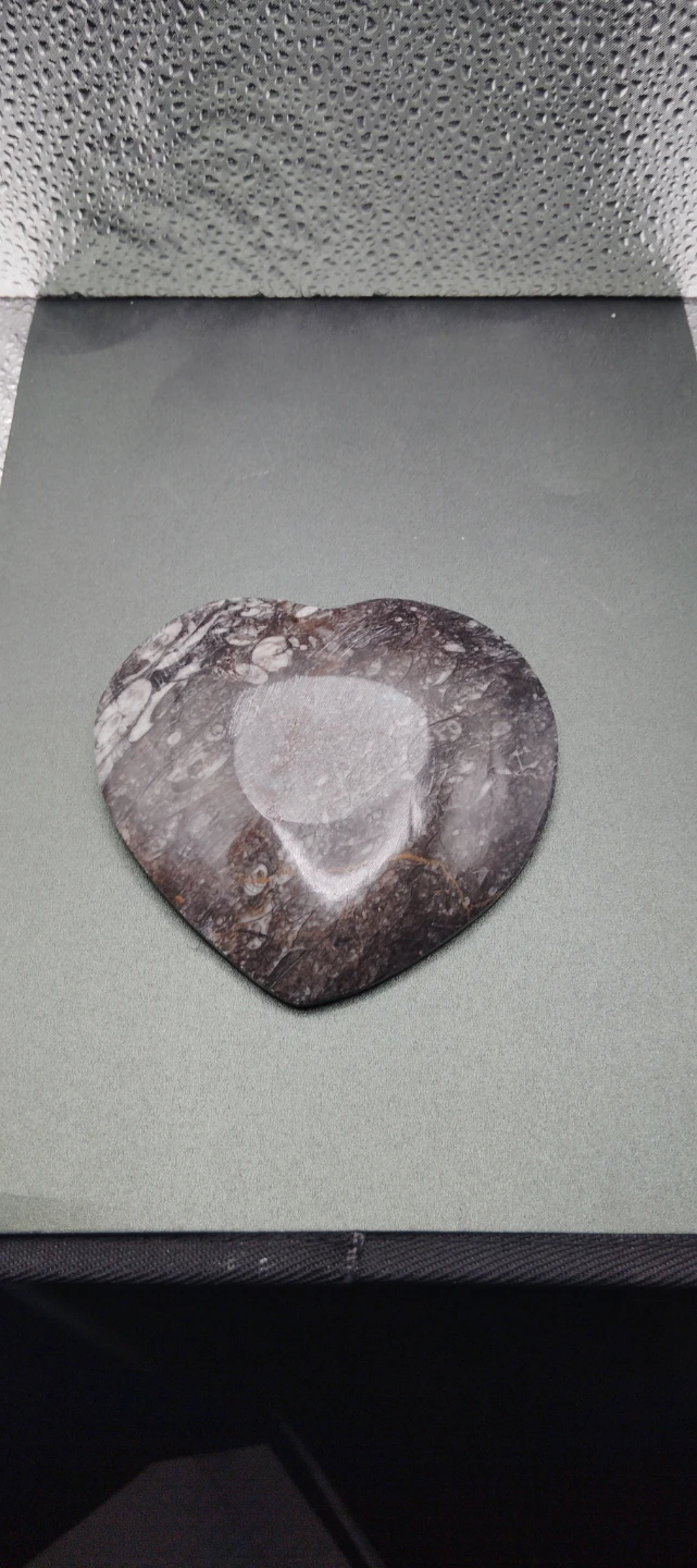 Heart Shaped orthoceras Ammounit fossil Stone Dish - photo 3