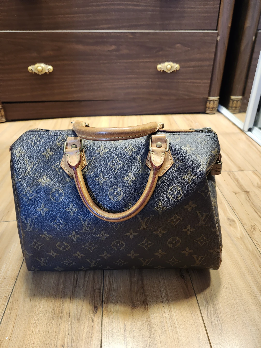 Louis Vuitton Speedy Bag