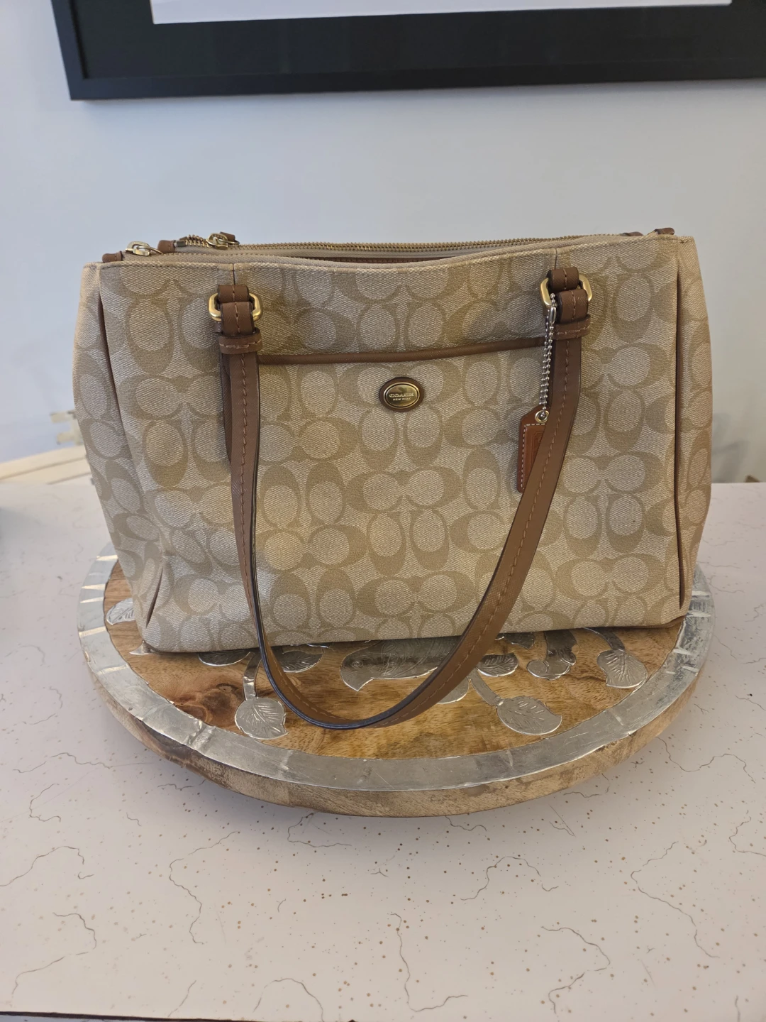 COACH Peyton Jordan Double Zip Carryall