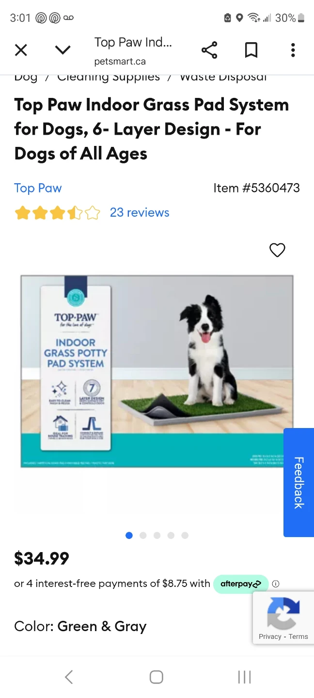 Top Paw Indoor Grass Pad System for Dogs