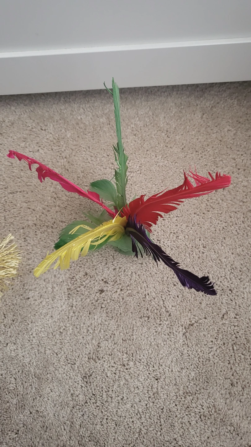 Chinese Jianzi (Shuttlecock) 🏆