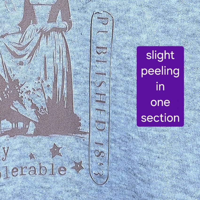 Pride and Prejudice hoodie - NEW - photo 5
