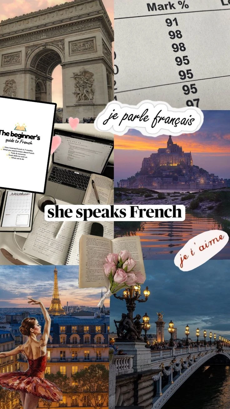 The Beginner's Guide to French