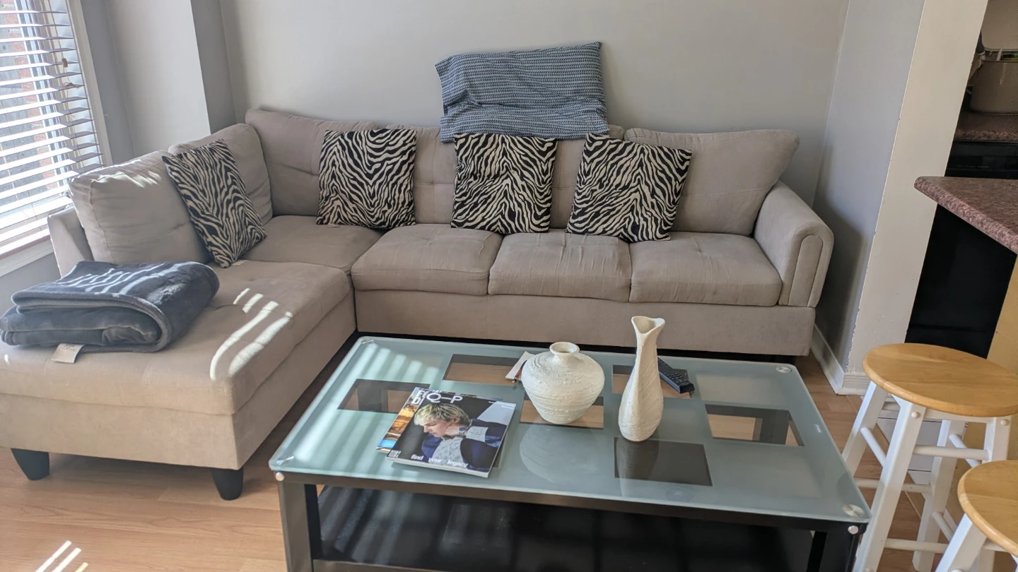 Sofa $ 55 ( moving sale)