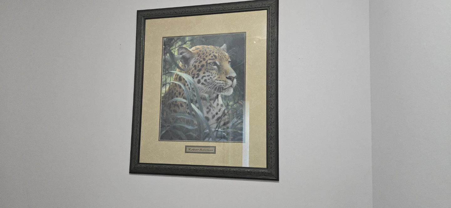 Beautiful framed print.