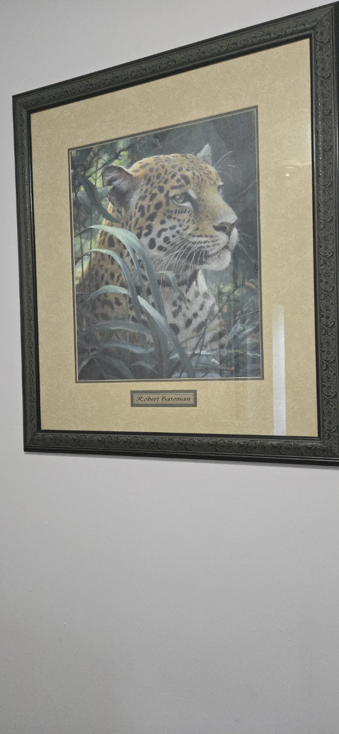 Beautiful framed print. - photo 5
