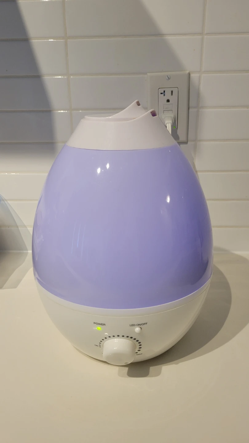 White and Blue Egg-Shaped Humidifier with LED Light