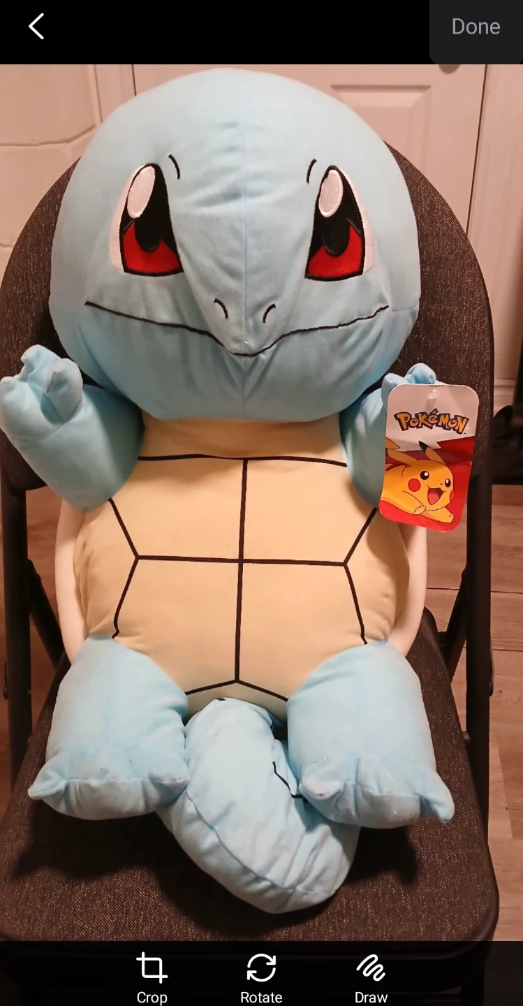 Pokémon Squirtle Plush