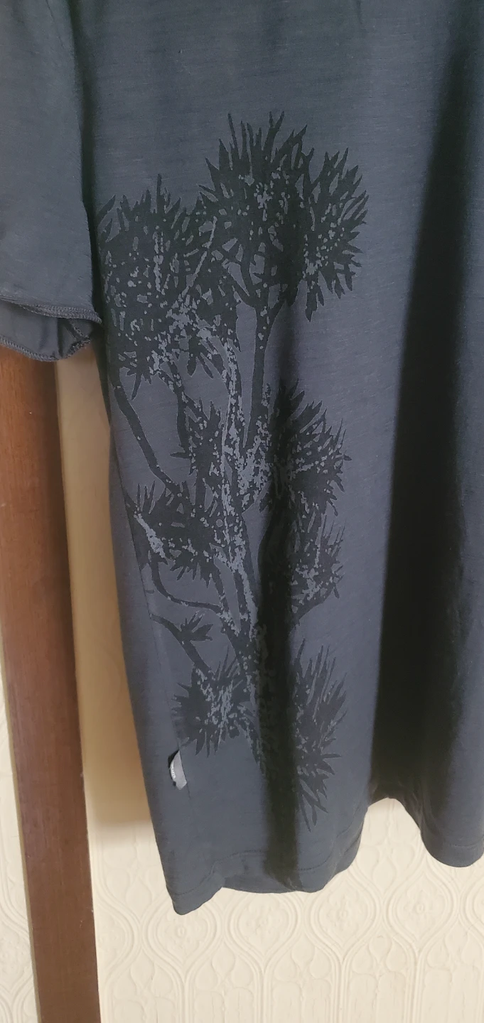 Icebreaker Merino T-Shirt - photo 4