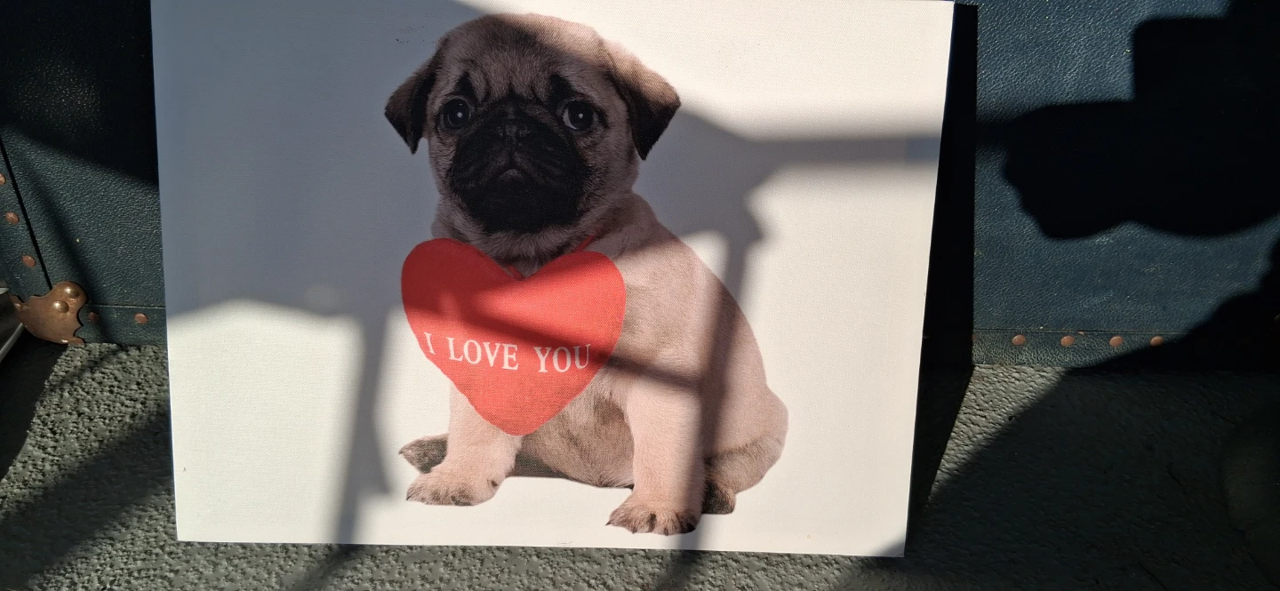Canvas Print "I LOVE YOU" Pug Puppy