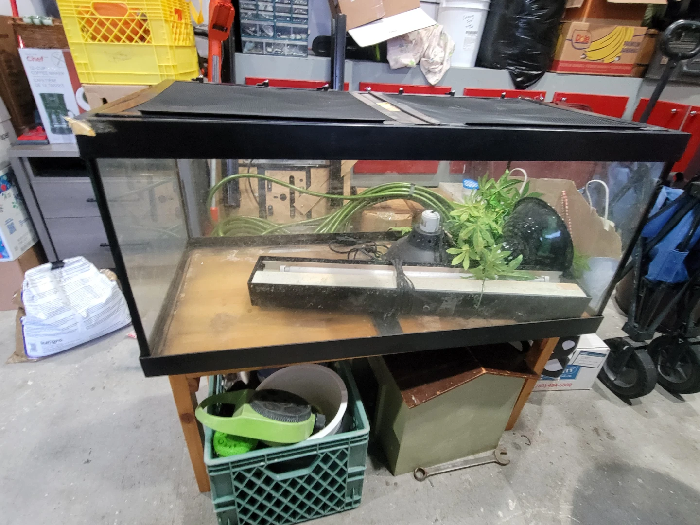 Glass Terrarium with Screen Lid and Light