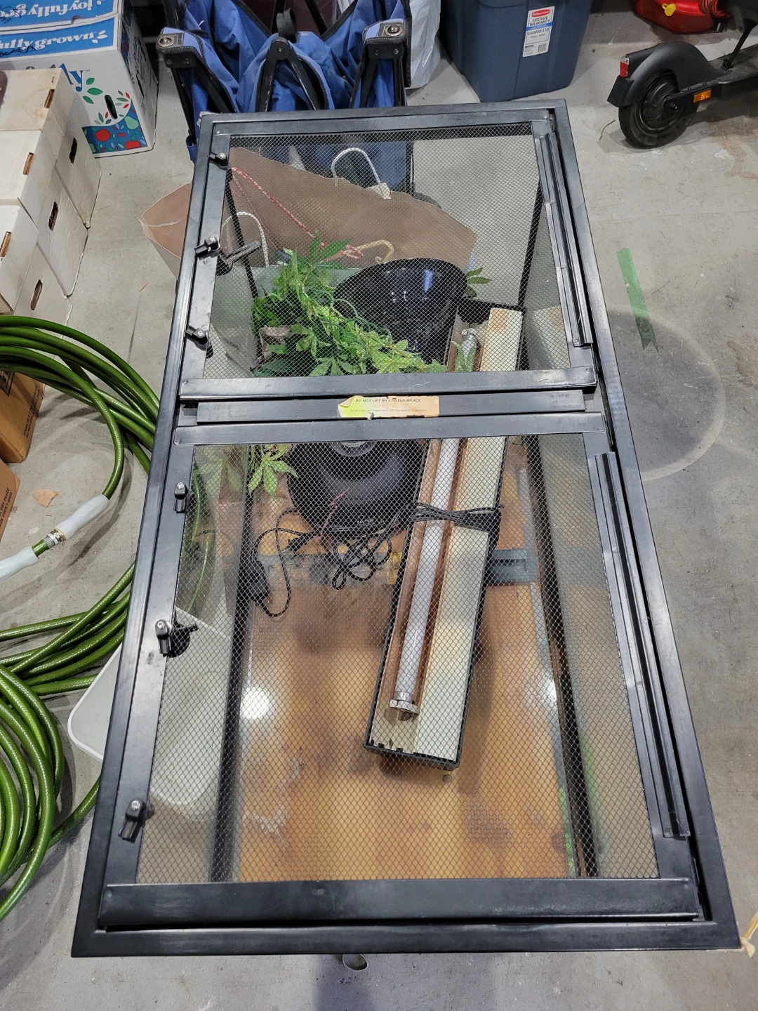Glass Terrarium with Screen Lid and Light - photo 2