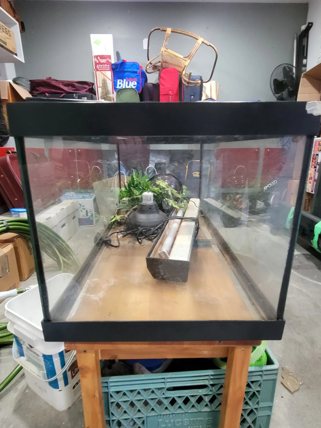 Glass Terrarium with Screen Lid and Light - photo 3