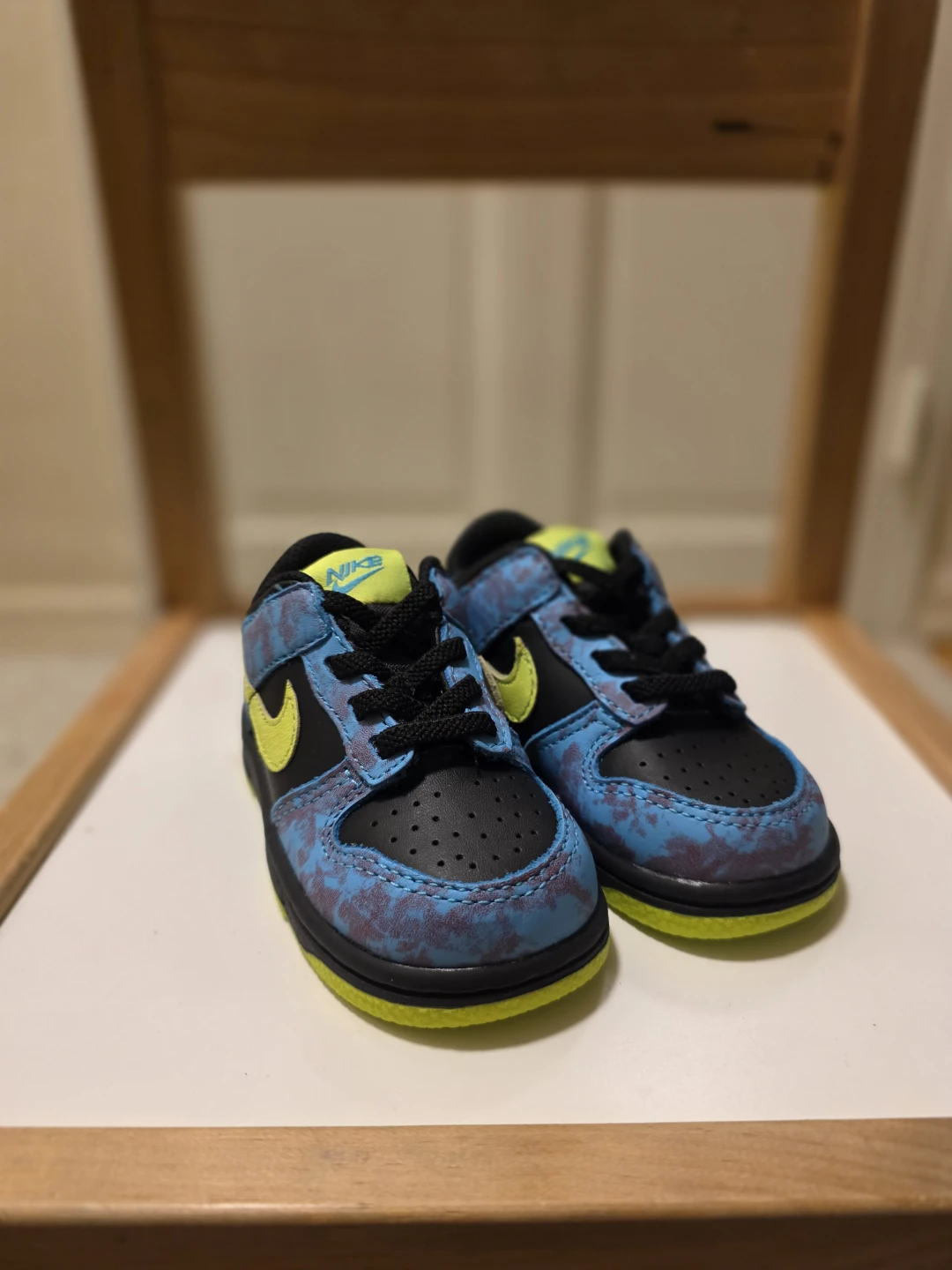 Nike Dunk Low Toddler Shoes 🏆