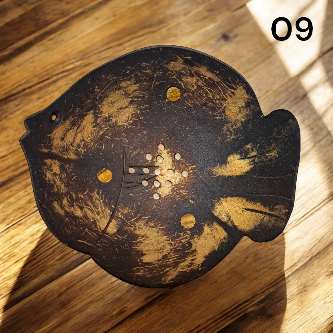 coconut shell soap dish 09🏆