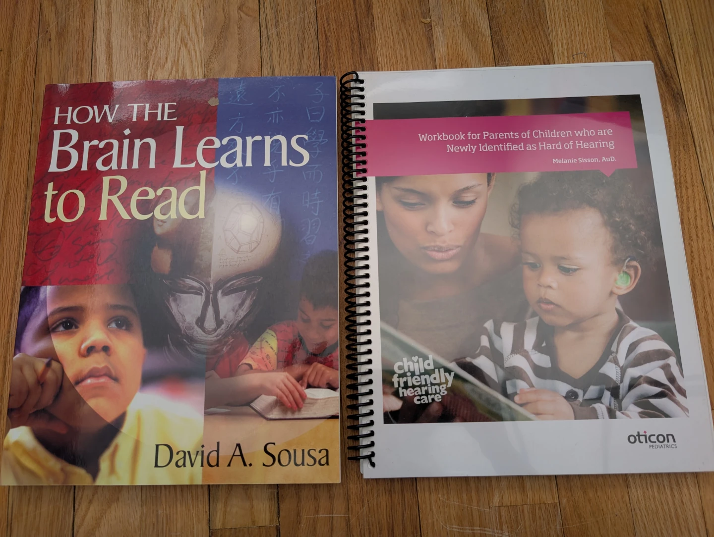 Assorted Books on Sign Language and Hearing Impairment - photo 4