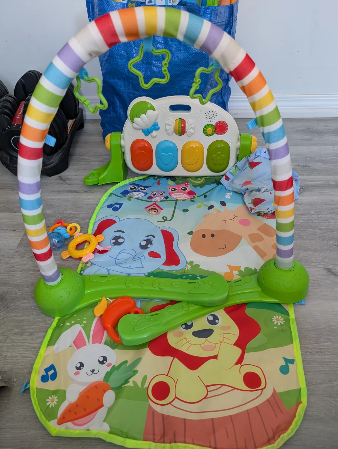 Fisher-Price Baby Play Mat Gym Activity Center