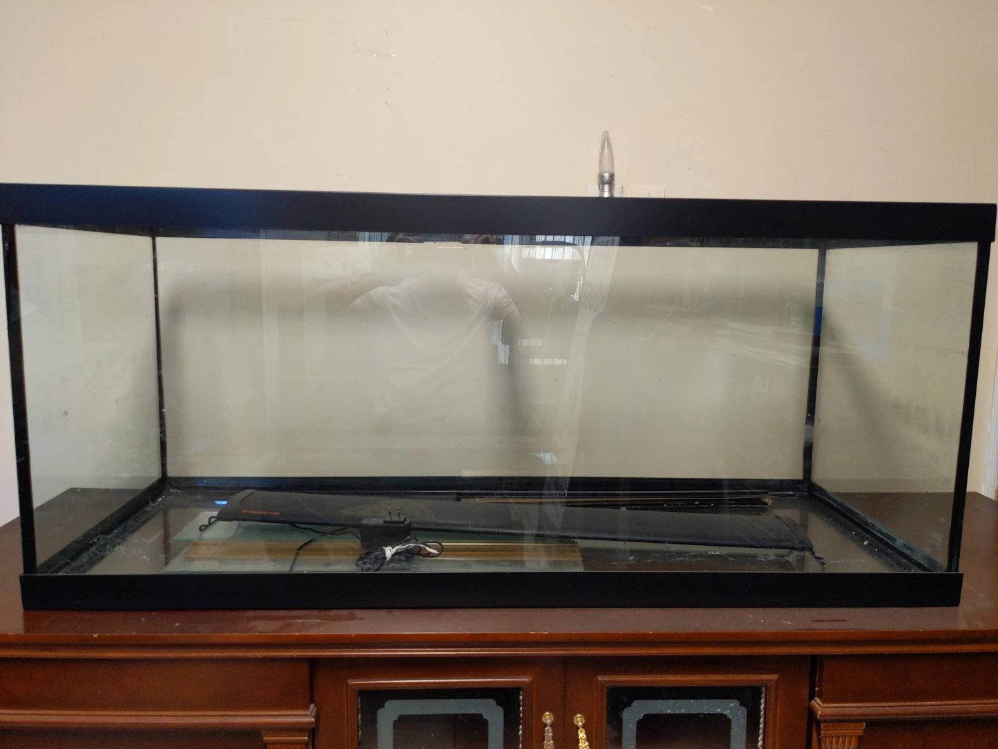 Large Aquarium Tank