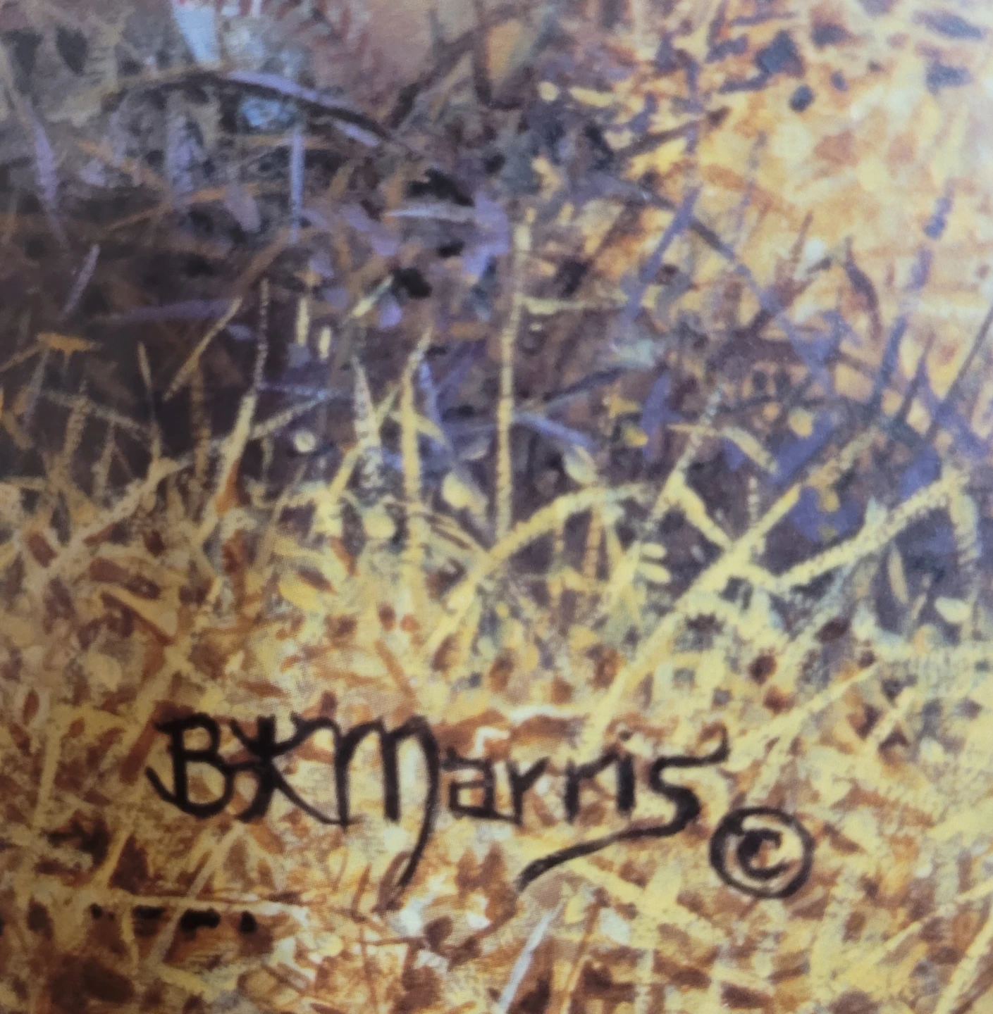 Bonnie Marris Limited Edition Print - photo 4