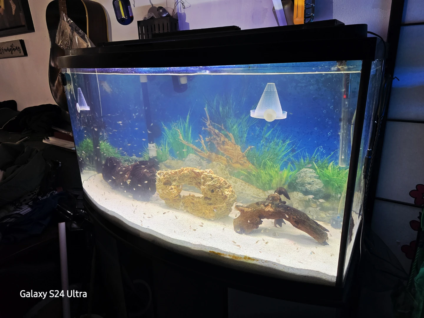 🥕 46 Gallon Bow Front Aquarium With Stand, Lid, Light, Gravel