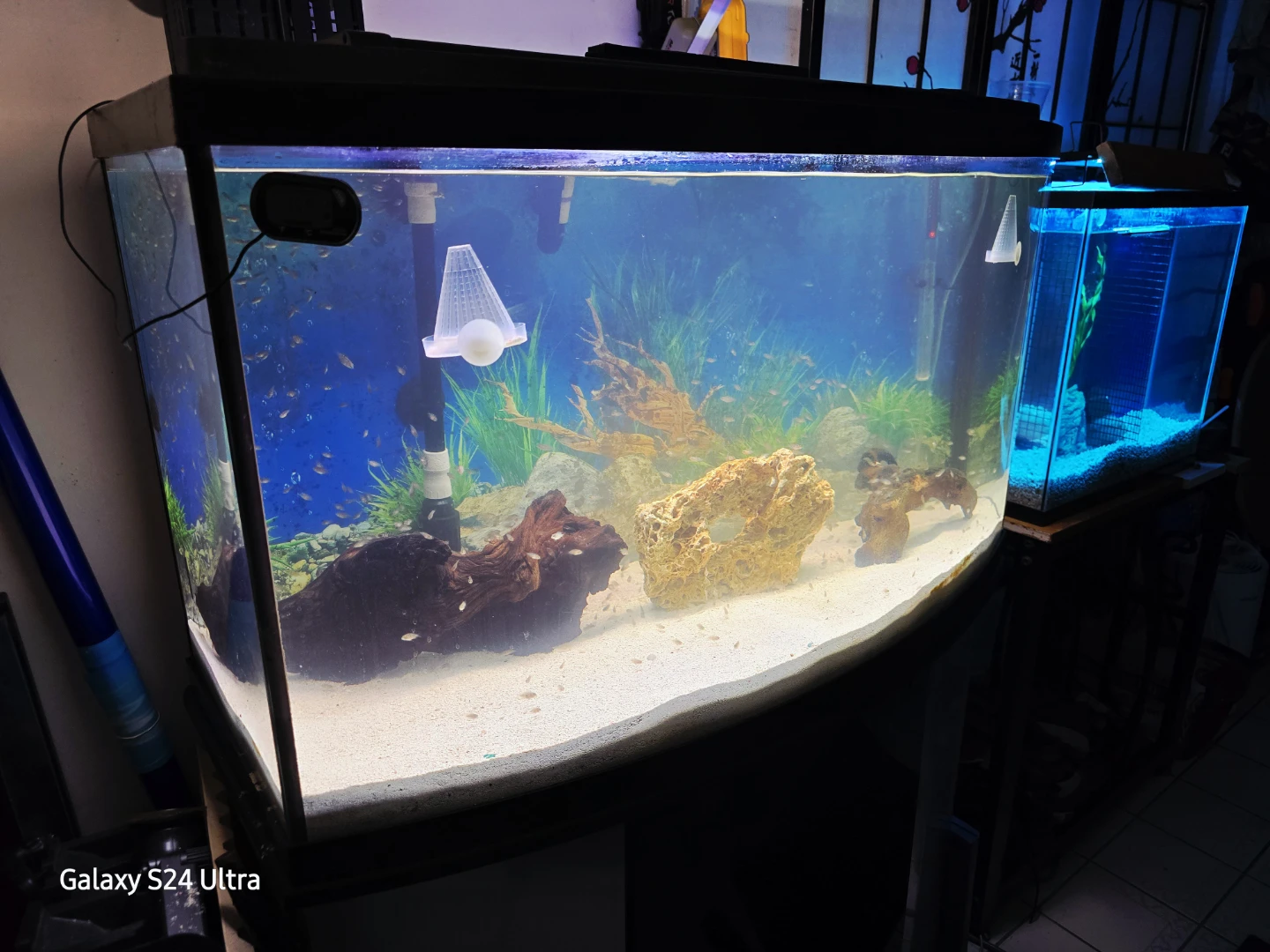 🥕 46 Gallon Bow Front Aquarium With Stand, Lid, Light, Gravel - photo 2