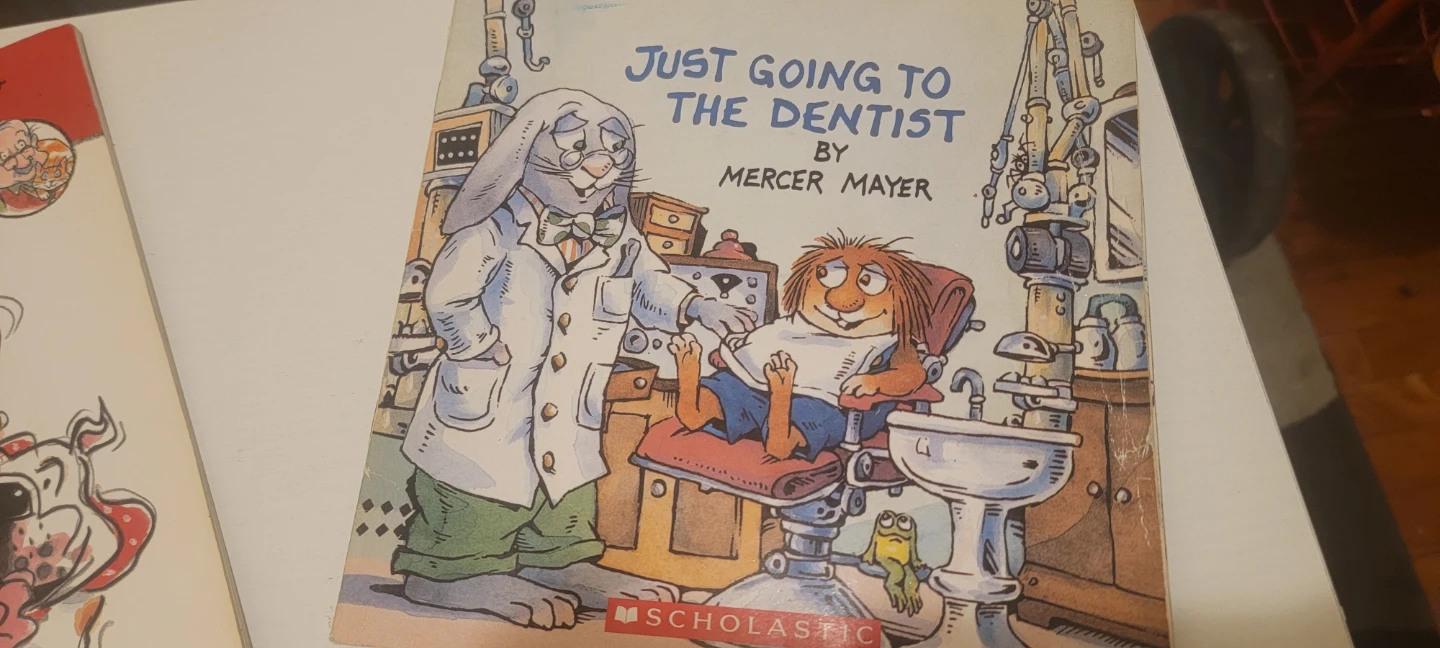Children's Book Bundle: Sesame Street, Goosebumps, Mercer Mayer - photo 4