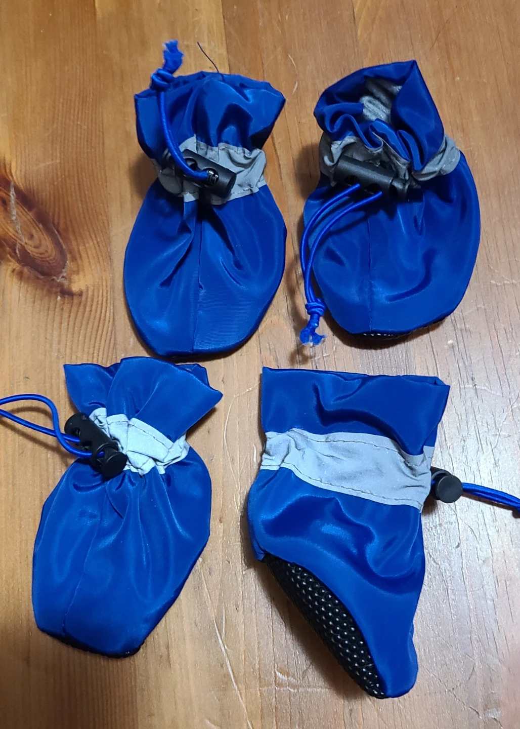 Free Blue Dog Boots Set of 4🥕