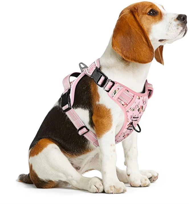 NEW!   Dog Harness Set - Pink Floral Print, Medium