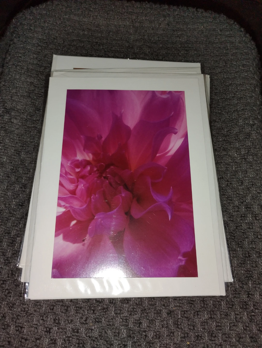 NEW!! 6 GORGEOUS FLOWER PHOTOGRAPH CARDS - photo 2