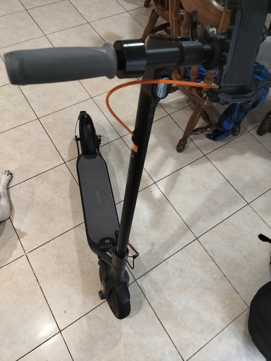 Ninebot Electric Scooter