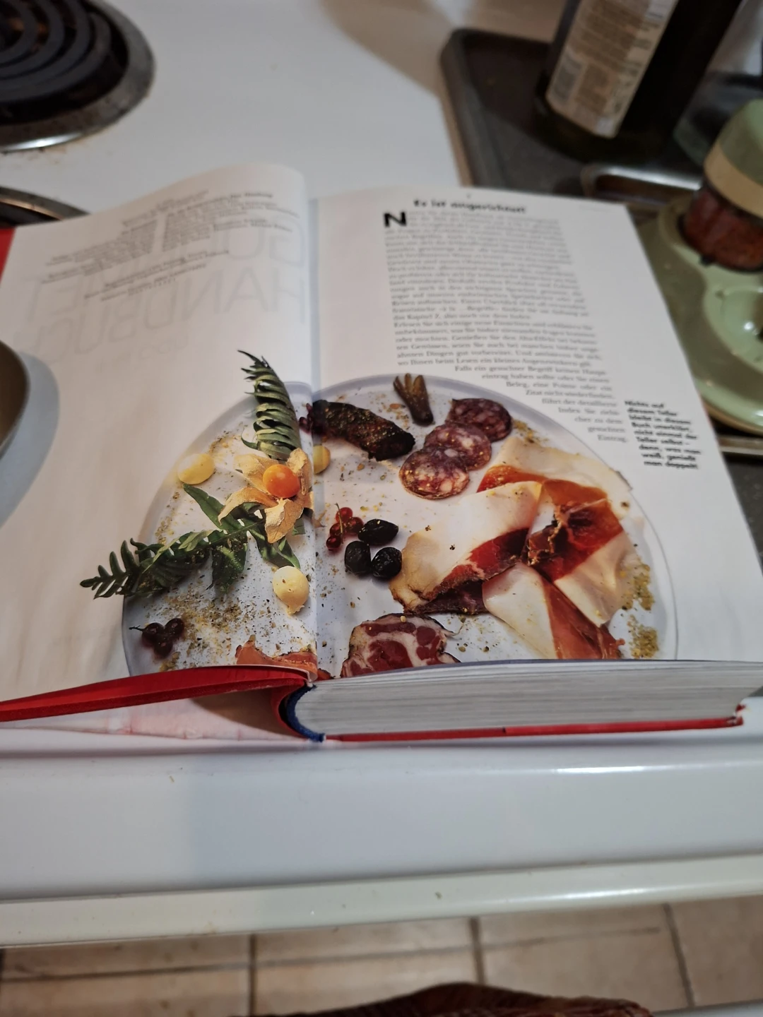 Das Gourmet Handbuch Cookbook by Udo Pinit🏆 - photo 3