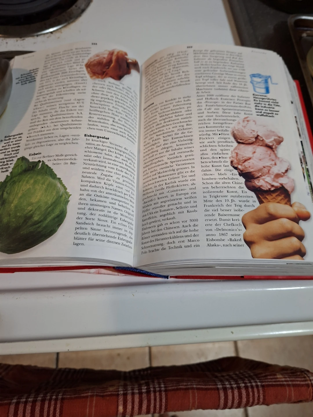 Das Gourmet Handbuch Cookbook by Udo Pinit🏆 - photo 5