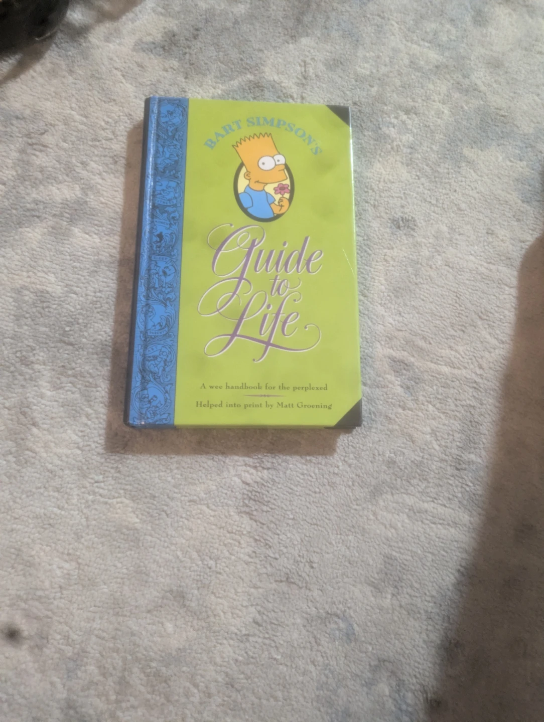 Bart Simpson's Guide to Life Book