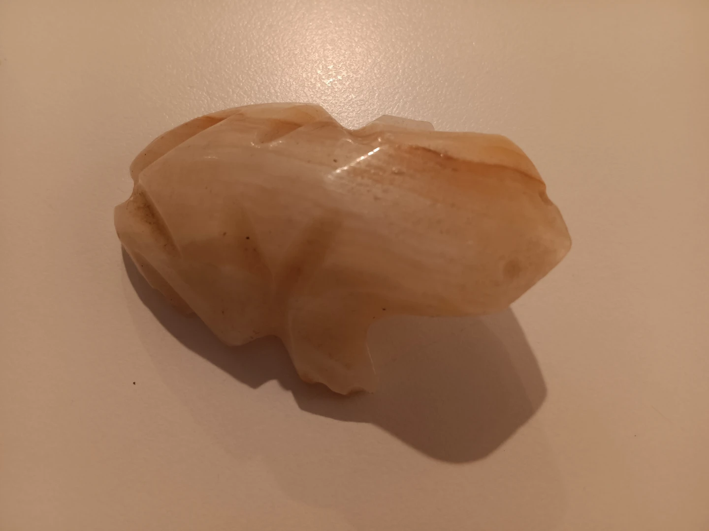 COQUI carved in stone