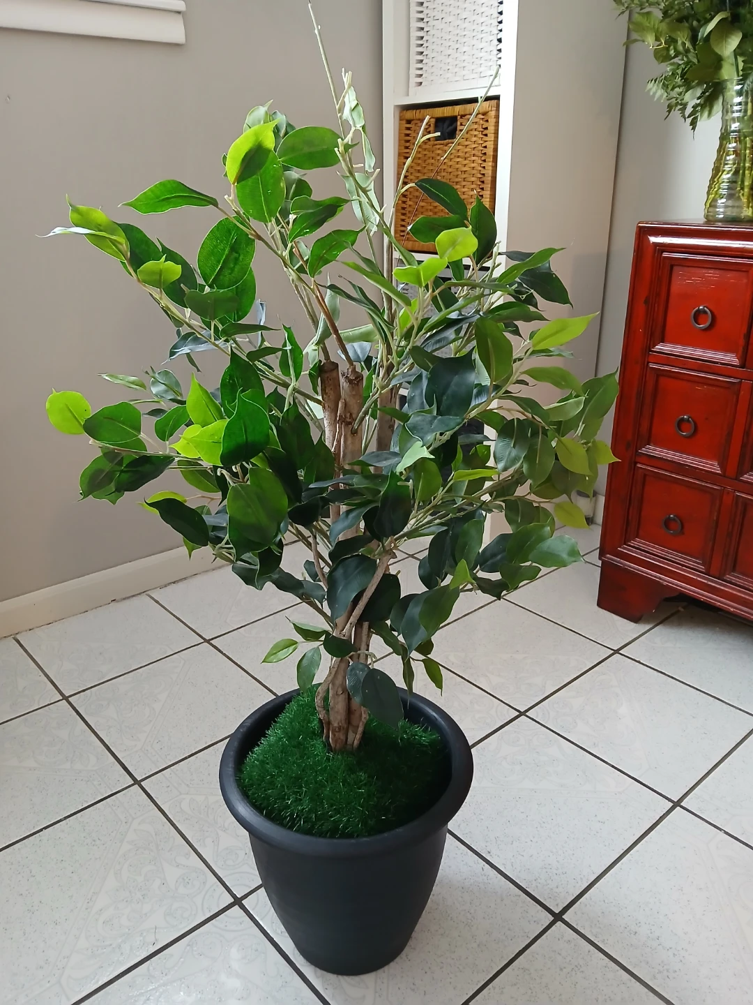 Artificial Ficus Tree in Black Pot