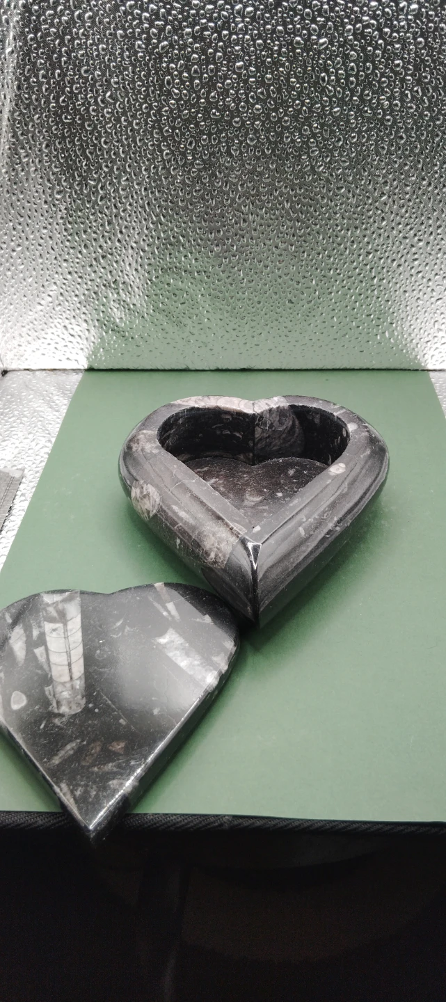 Heart Shaped orthoceras fossil Trinket Box - photo 4