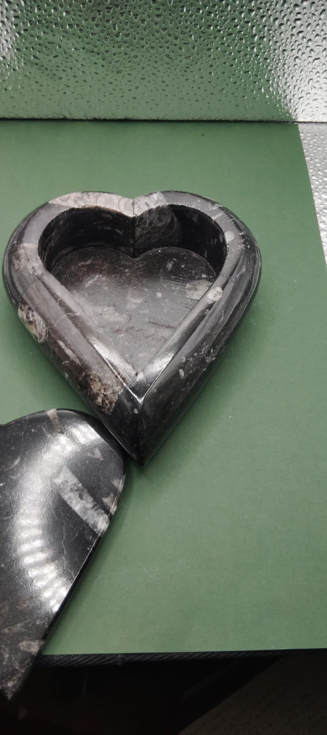 Heart Shaped orthoceras fossil Trinket Box - photo 5