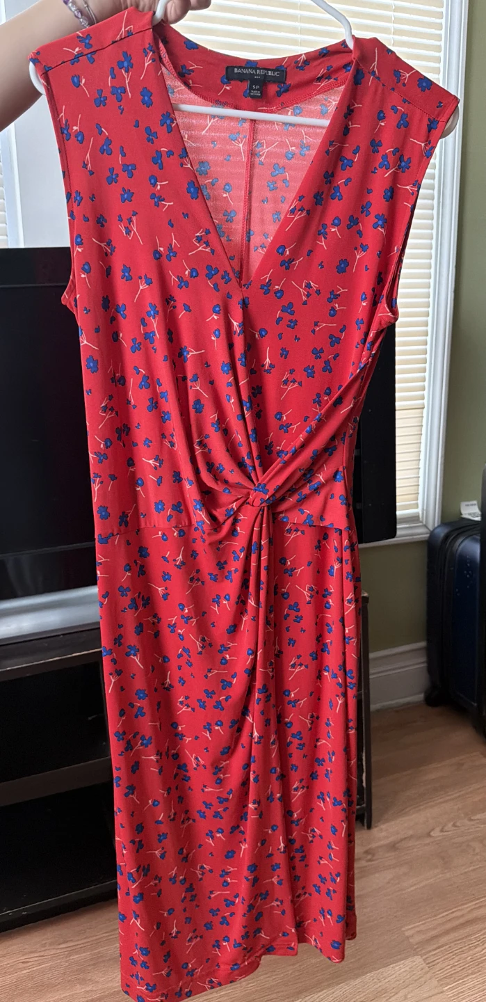 Banana Republic Red Floral Sleeveless Sheath Dress Size SP