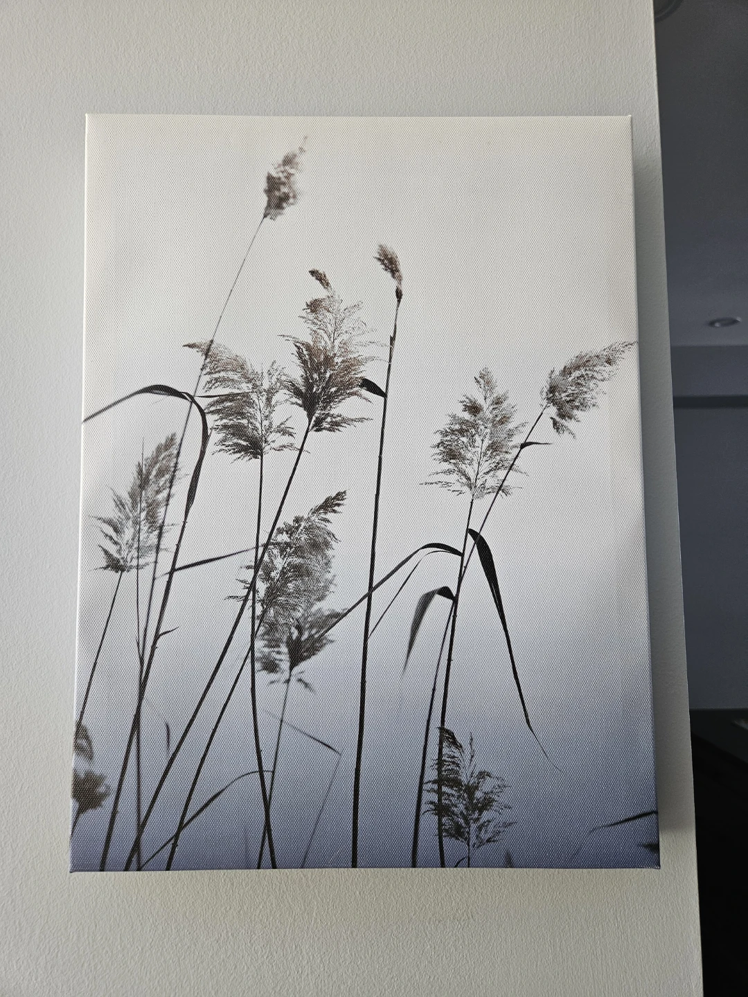 Bouclair Reed Grass Canvas